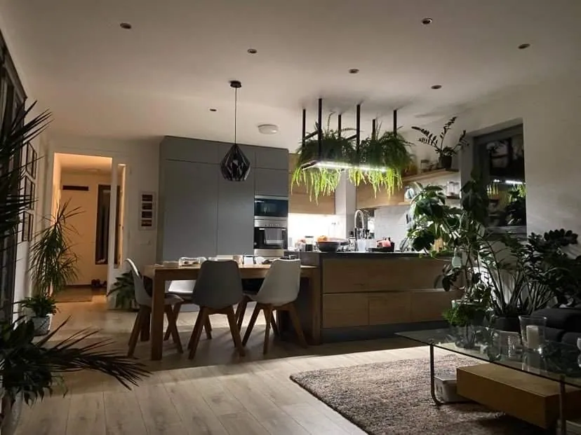 The kitchen seen from the dining area