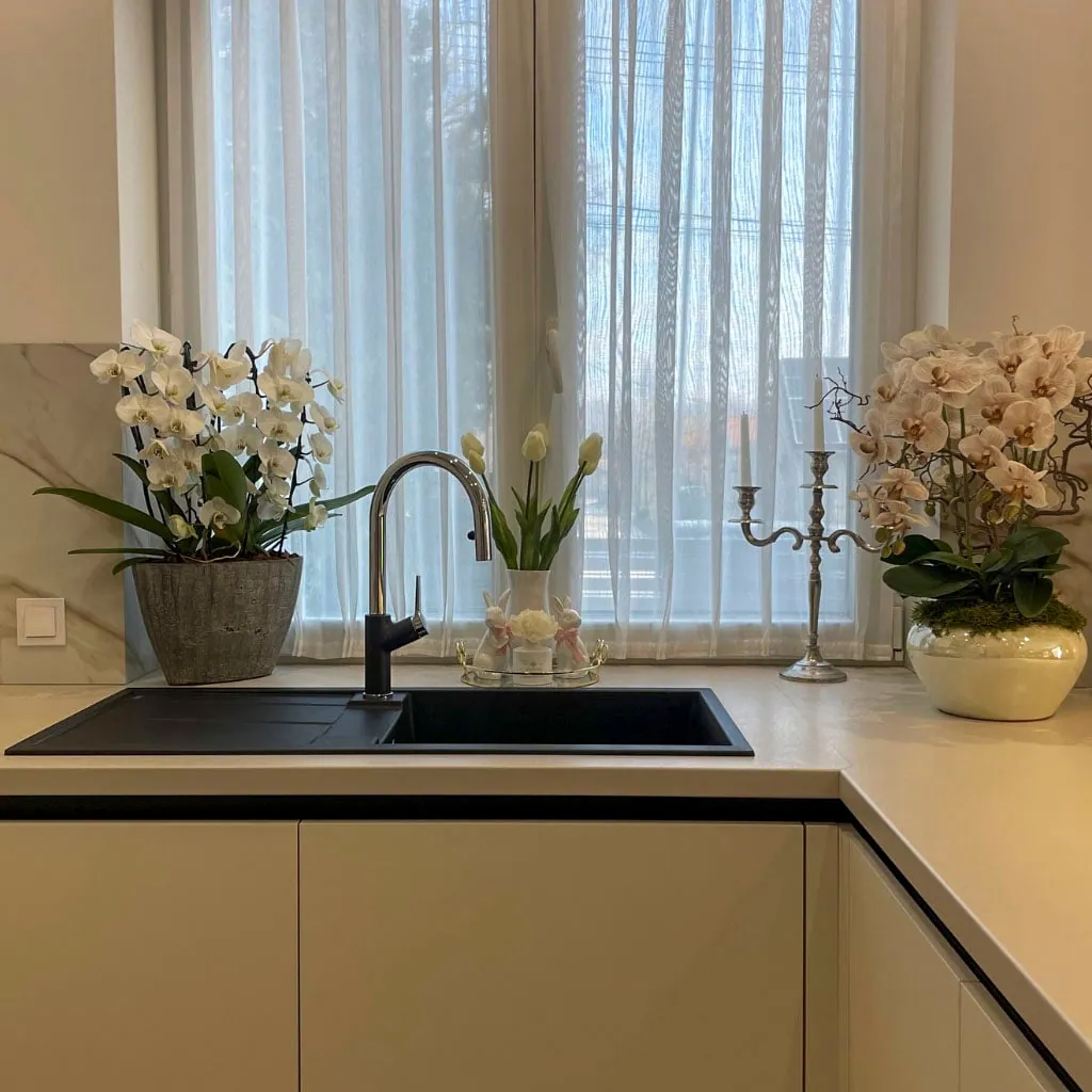 Sink in front of the window