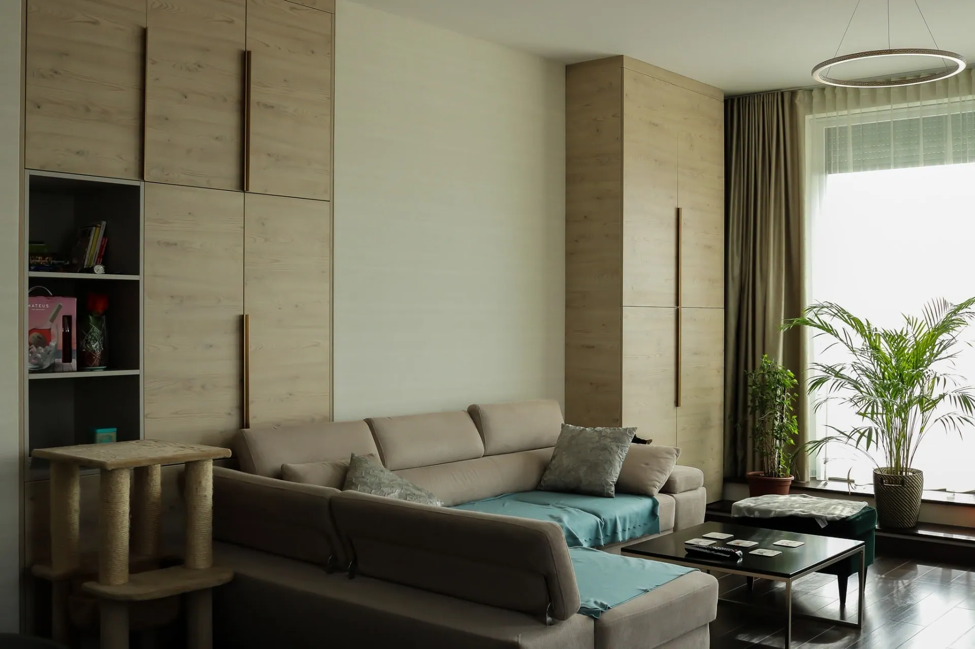 Living room with built-in furniture
