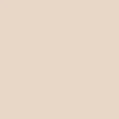 Sand beige decor
