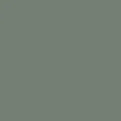 Eucalyptus green decor